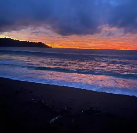 ペンション Hostal & Cabins Lidia S House, Forest And Ocean View