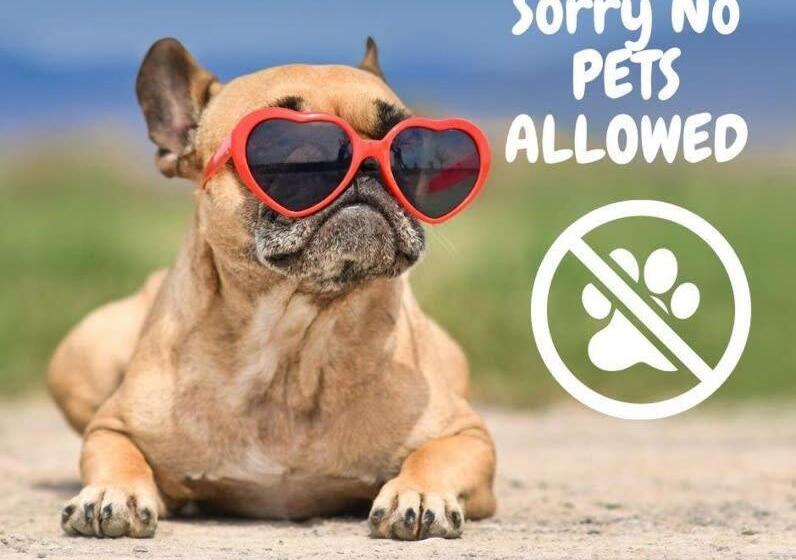 Biscayne Bay View Stay Pool Hot Tub And Amenities