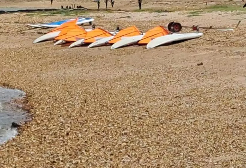 Luxury New 3 Bed Caravan With Stunning Sea View On Private Beach In Thorness Bay