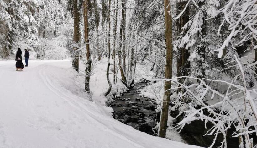 Am Kaltenbach Spital Am Semmering, Stuhleck