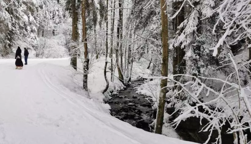 Am Kaltenbach   Spital Am Semmering, Stuhleck