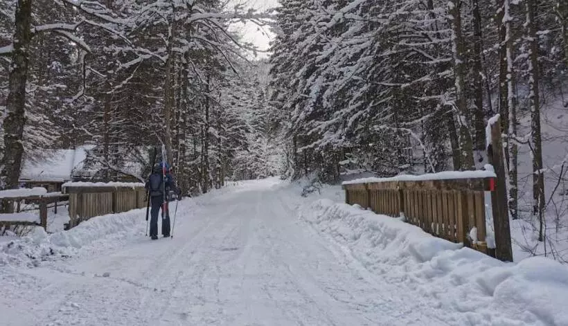 Am Kaltenbach   Spital Am Semmering, Stuhleck