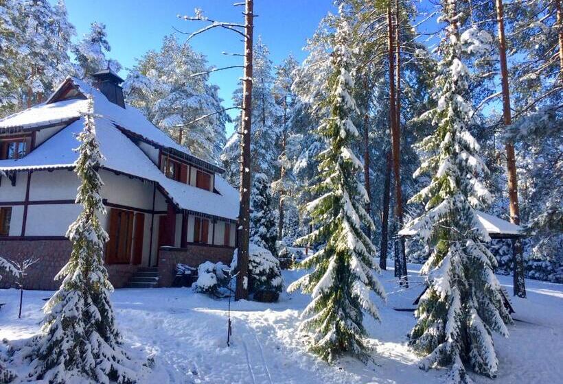 Kraljevi Konaci Vila Zelena Dolina Zlatibor
