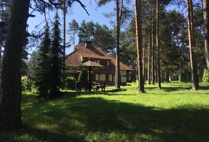 Kraljevi Konaci Vila Zelena Dolina Zlatibor