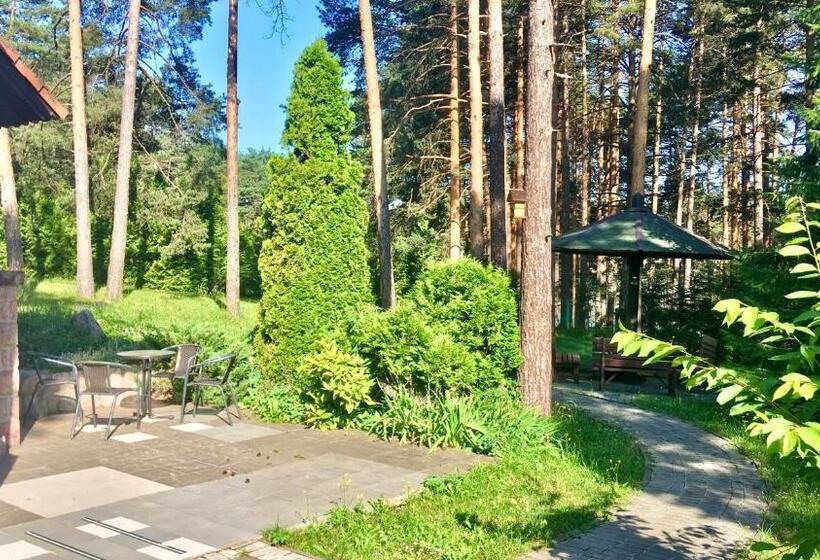 Kraljevi Konaci Vila Zelena Dolina Zlatibor