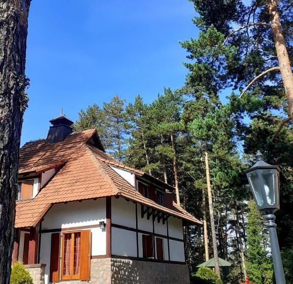 Kraljevi Konaci Vila Zelena Dolina Zlatibor