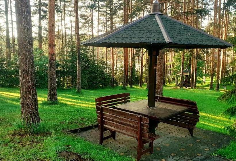 Kraljevi Konaci Vila Zelena Dolina Zlatibor