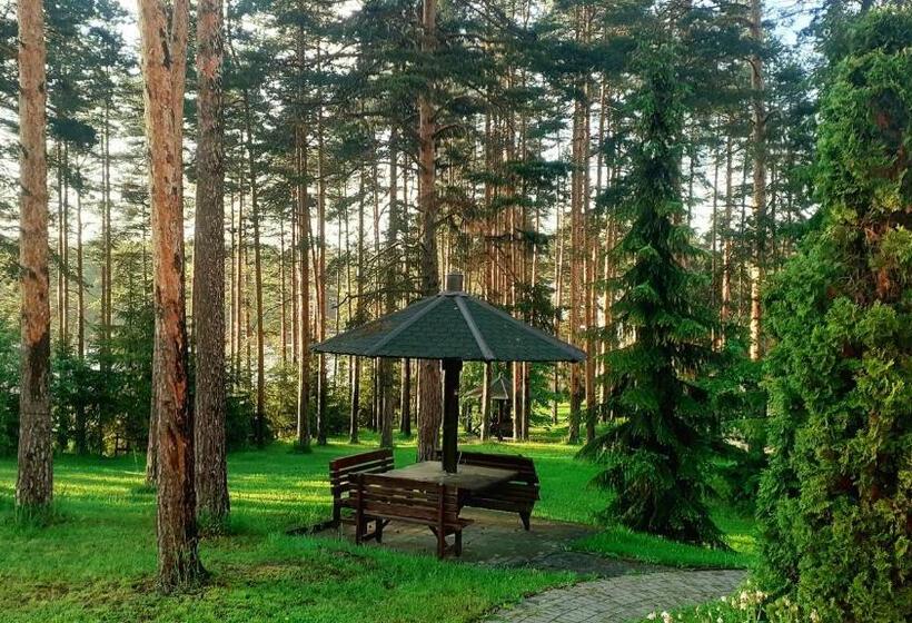 Kraljevi Konaci Vila Zelena Dolina Zlatibor