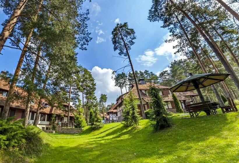 Kraljevi Konaci Vila Zelena Dolina Zlatibor