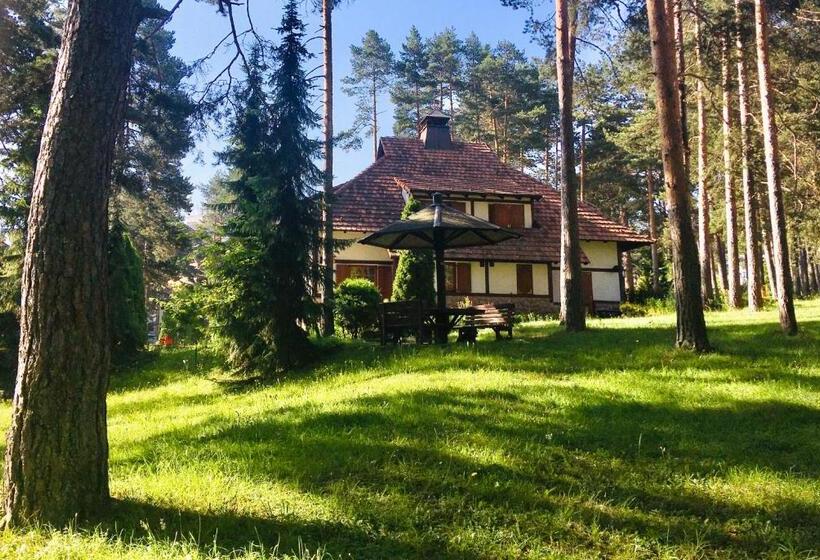 Kraljevi Konaci Vila Zelena Dolina Zlatibor