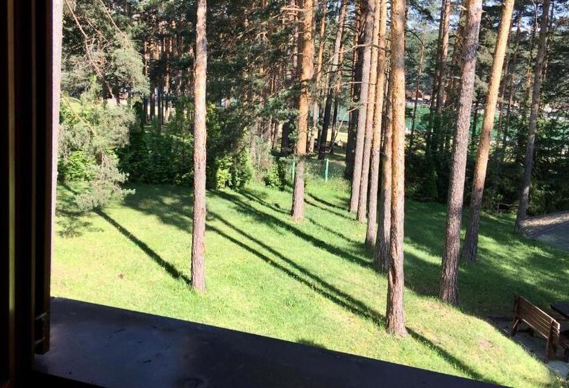 Kraljevi Konaci Vila Zelena Dolina Zlatibor