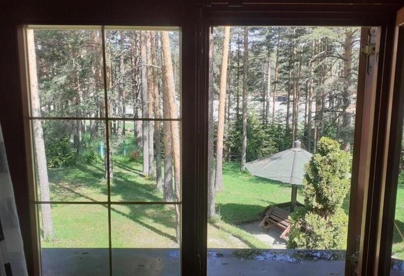 Kraljevi Konaci Vila Zelena Dolina Zlatibor