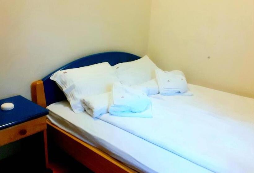 Kraljevi Konaci Vila Zelena Dolina Zlatibor