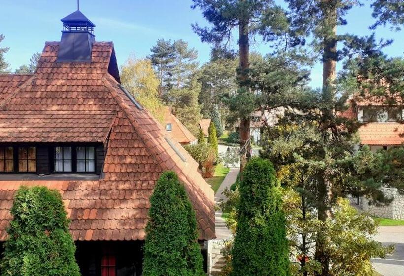 Kraljevi Konaci Vila Zelena Dolina Zlatibor
