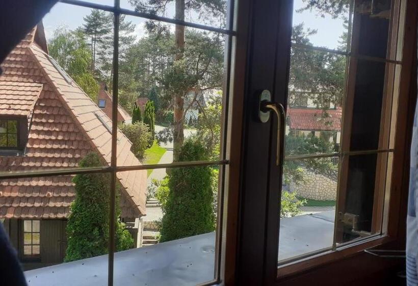 Kraljevi Konaci Vila Zelena Dolina Zlatibor