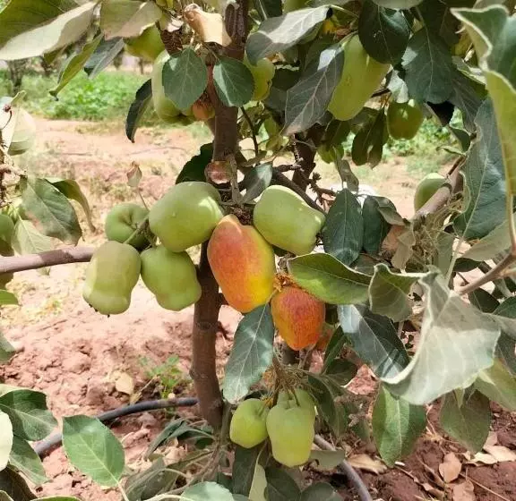 Villa Nathalie Marrakech