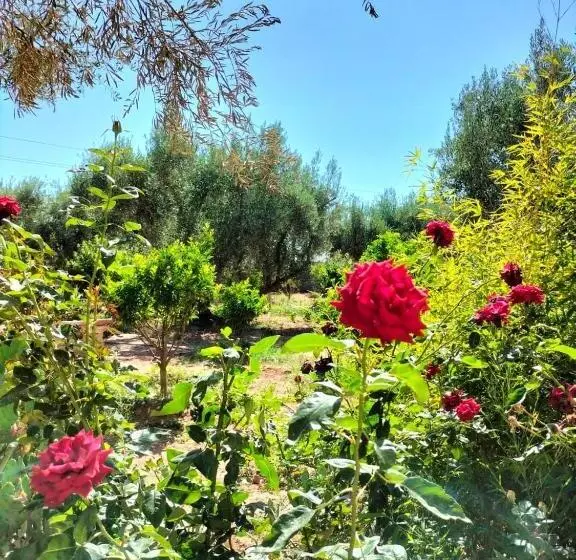 Villa Nathalie Marrakech