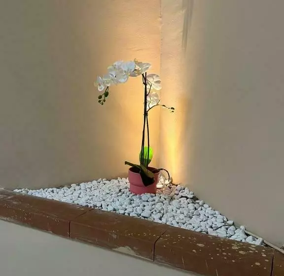 B&b Oasi Del Voscone