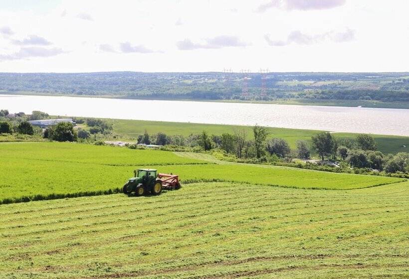 Bed & Breakfast, Gîte La Princesse Des Champs