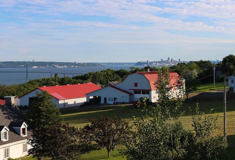 Bed & Breakfast, Gîte La Princesse Des Champs