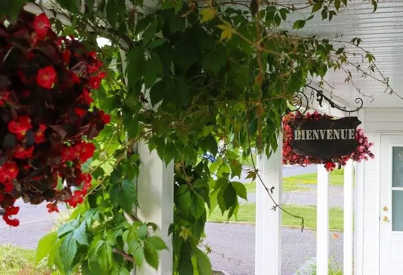 Bed & Breakfast, Gîte La Princesse Des Champs