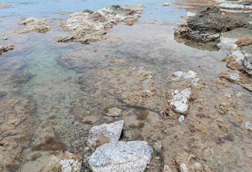 بنسيون Sa Teria Village   Camere Deluxe