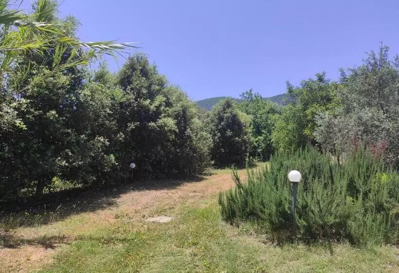 Majatalo Sa Teria Village   Camere Deluxe