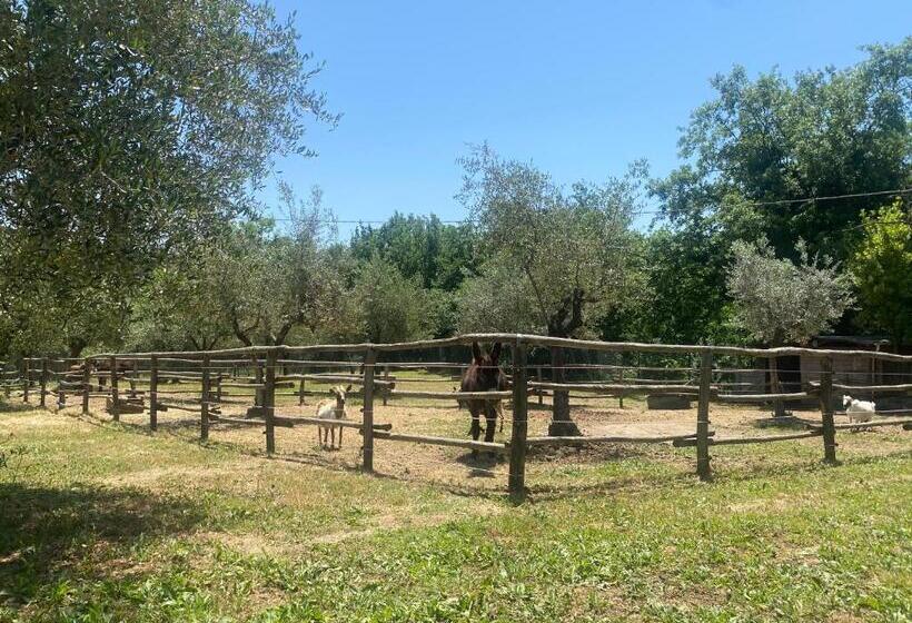 Podere Del Boscaccio