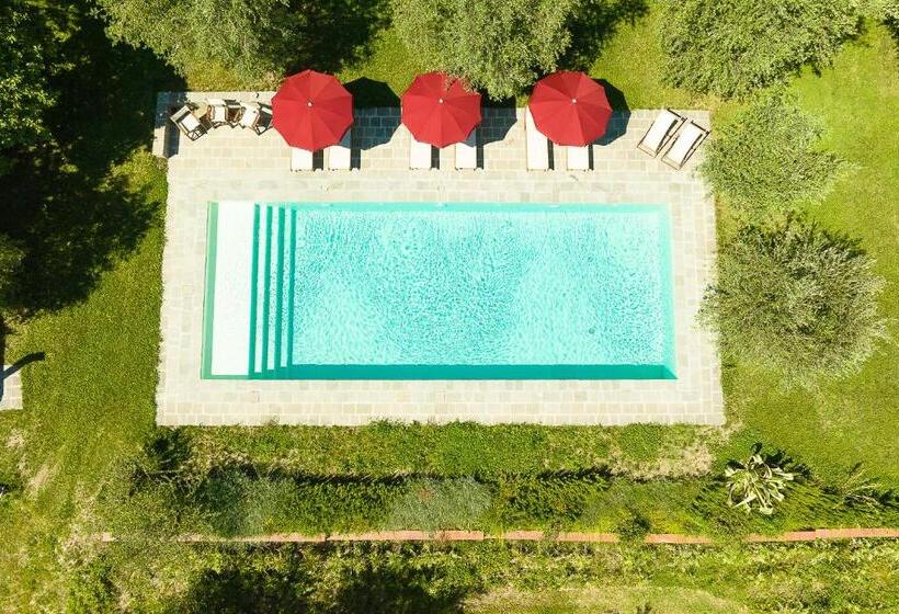 Podere Del Boscaccio