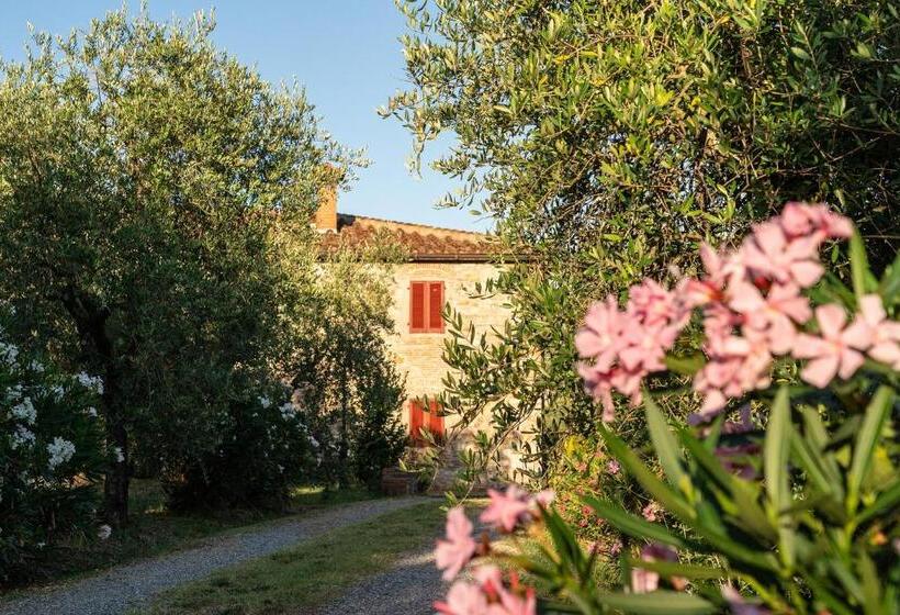 Podere Del Boscaccio