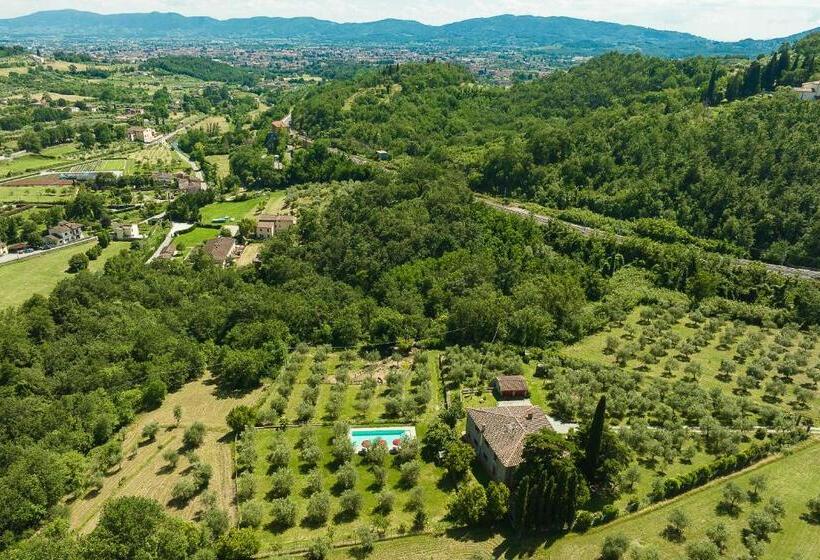 Podere Del Boscaccio