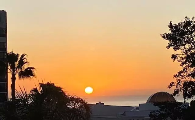 Underafricanskys, Humewood