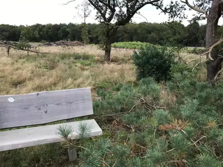 Zen Bungalow No 4 Met Sauna En Hottub