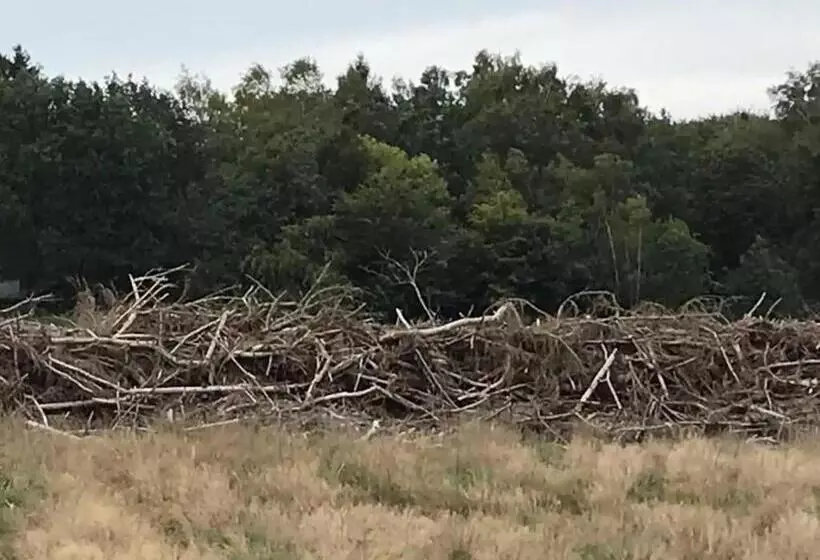 Zen Bungalow No 4 Met Sauna En Hottub