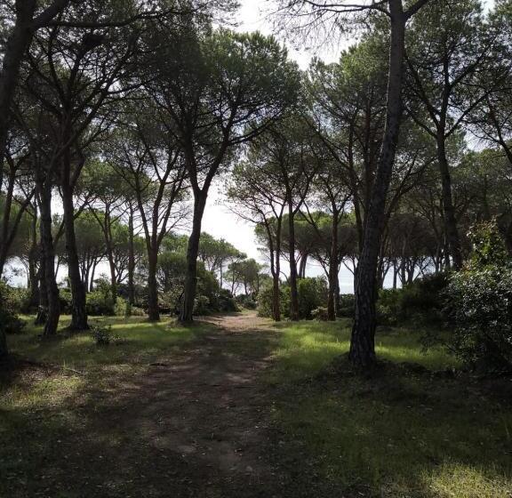 Casa Dell Asfodelo By Wonderful Italy