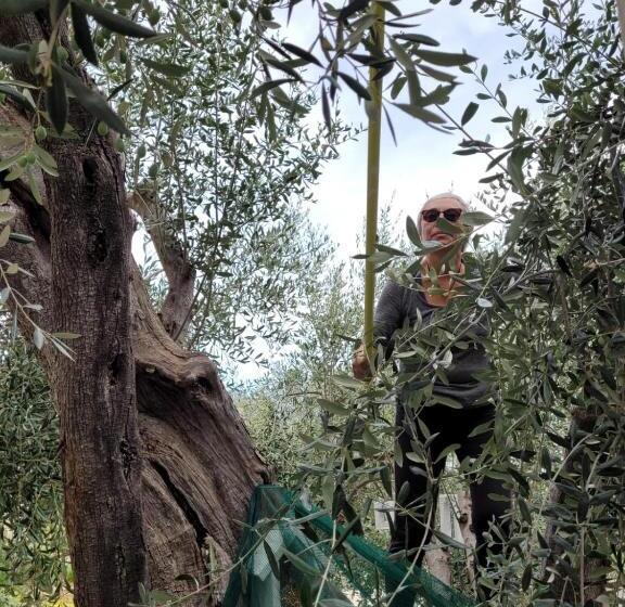 ホテル Agriturismo Passione Natura