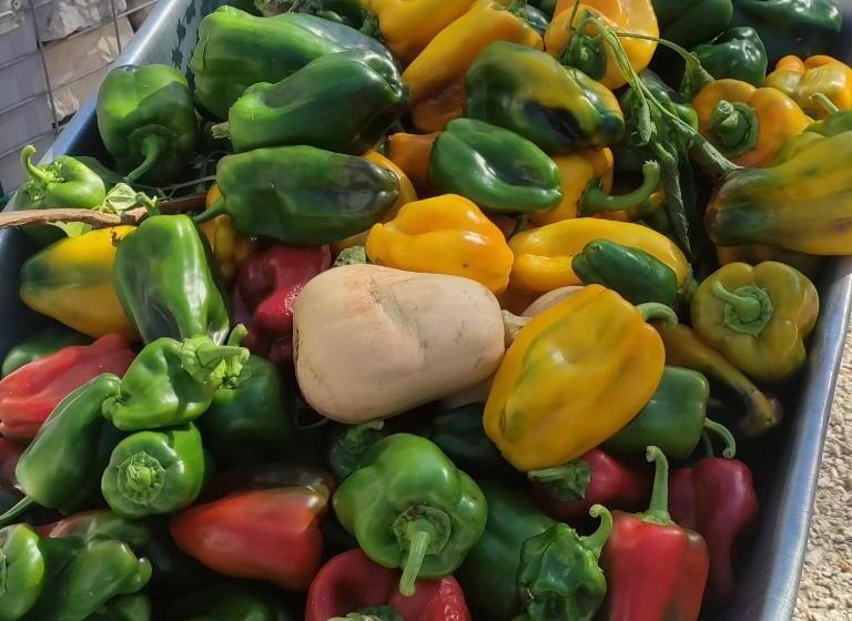 ホテル Agriturismo Passione Natura