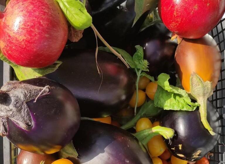 ホテル Agriturismo Passione Natura