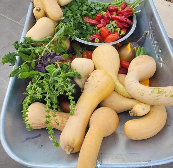 ホテル Agriturismo Passione Natura