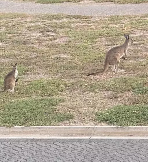 Jo S Sanctuary  4 Bdrms Sleeps 10 Beach & Scrub