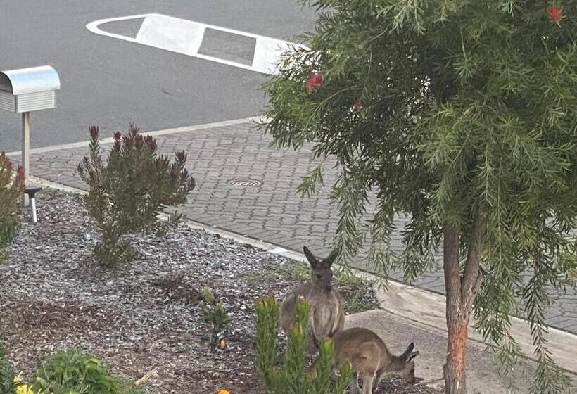 Jo S Sanctuary  4 Bdrms Sleeps 10 Beach & Scrub