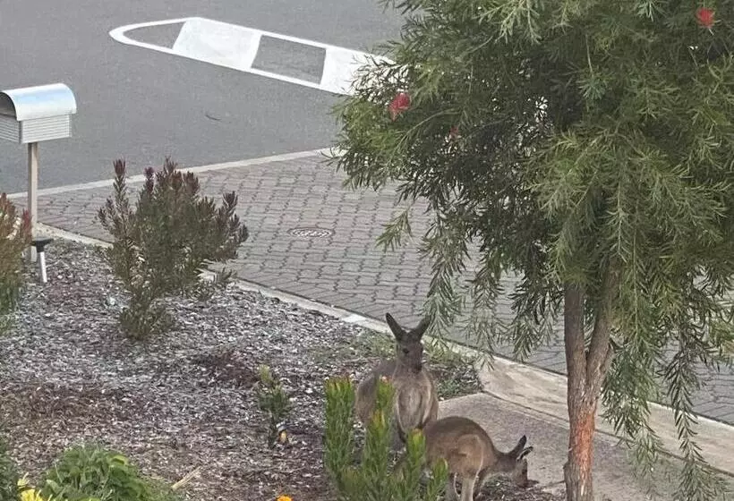 Jo S Sanctuary  4 Bdrms Sleeps 10 Beach & Scrub