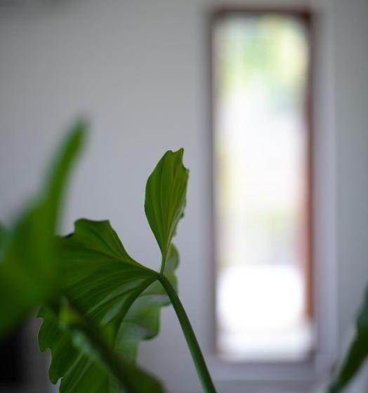 Nutnicha River House