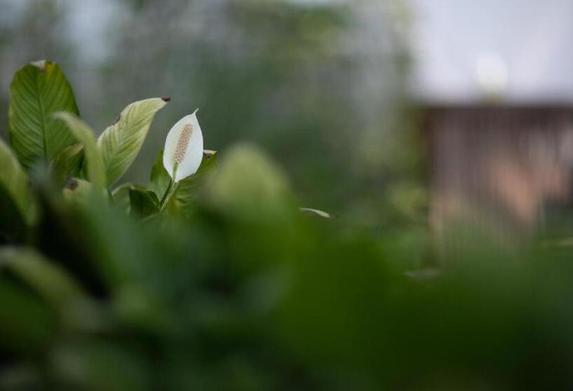 Nutnicha River House