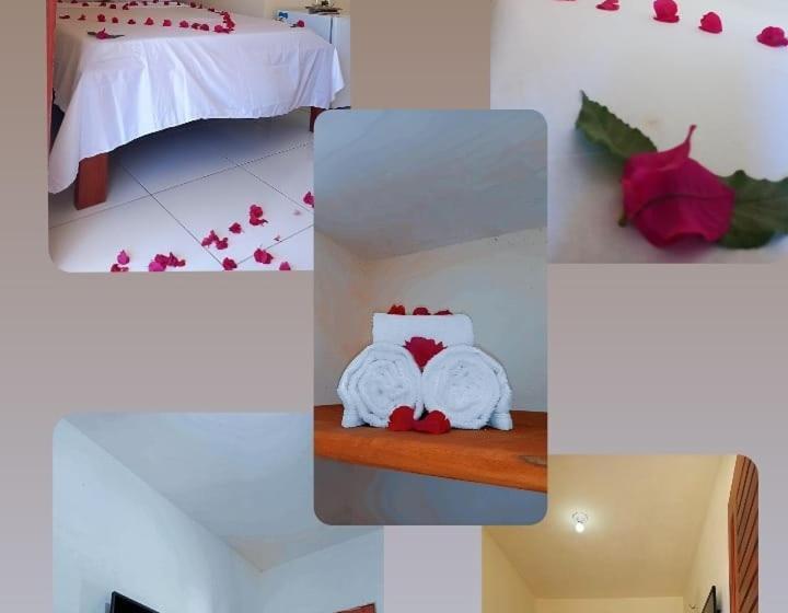 פנסיון Suíte Das Flores Em Guajiru