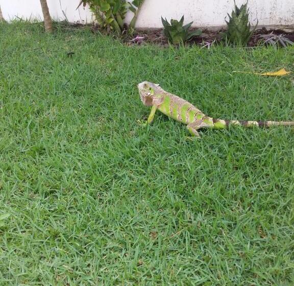 פנסיון Suíte Das Flores Em Guajiru