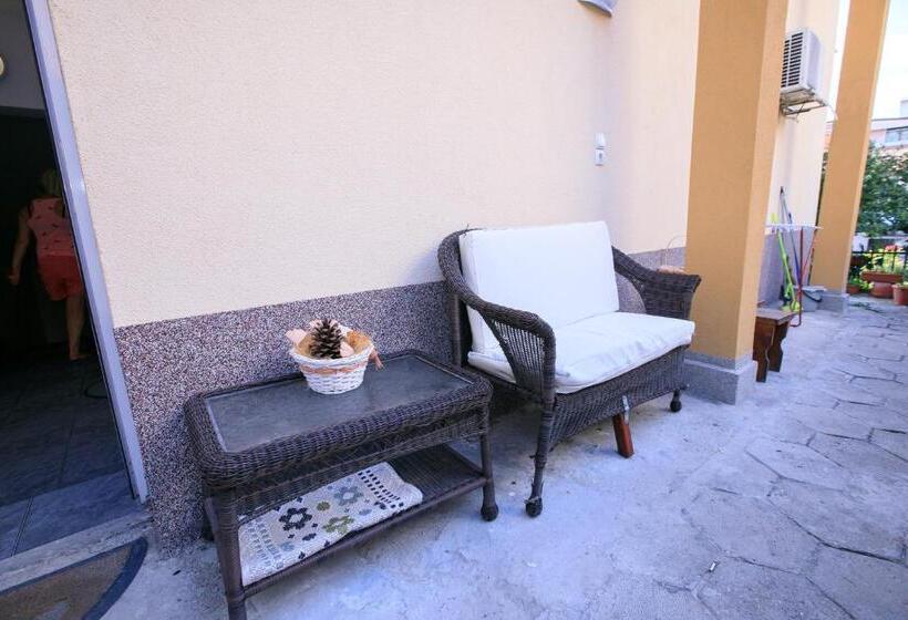 мини студио рози