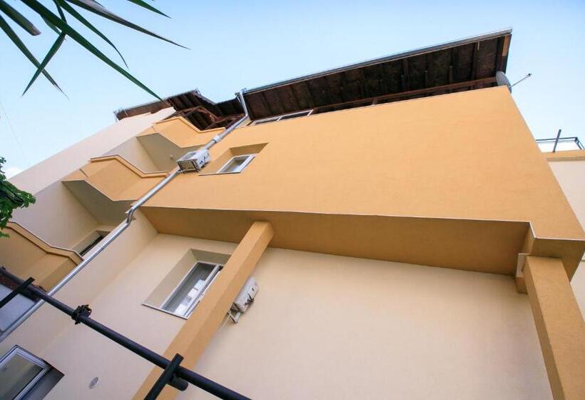 мини студио рози