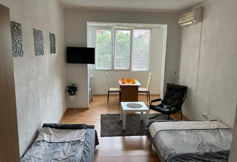 мини студио рози