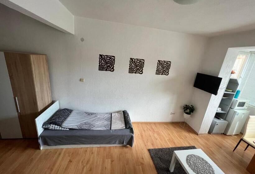 мини студио рози